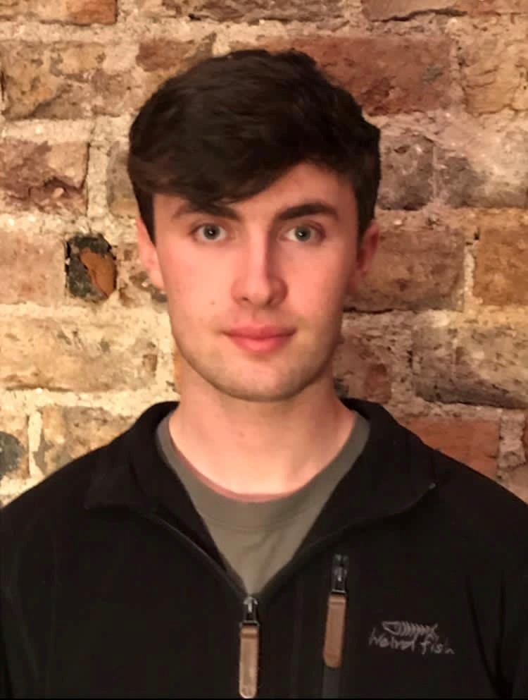 Virtual Volunteering at Volunteer Ireland